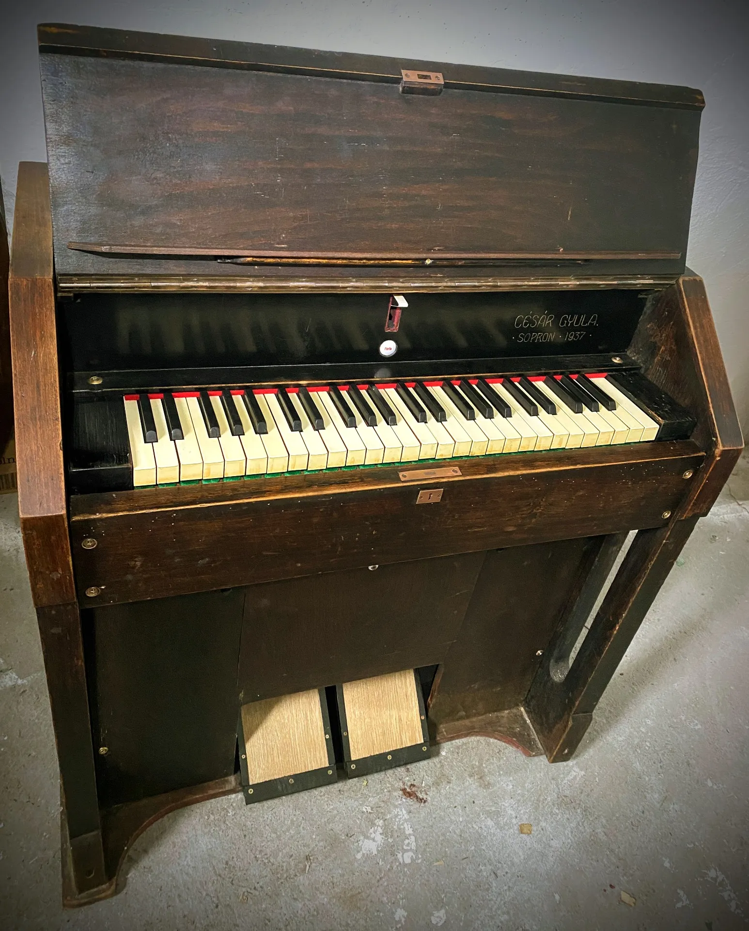 Harmonium von Gyula Césár