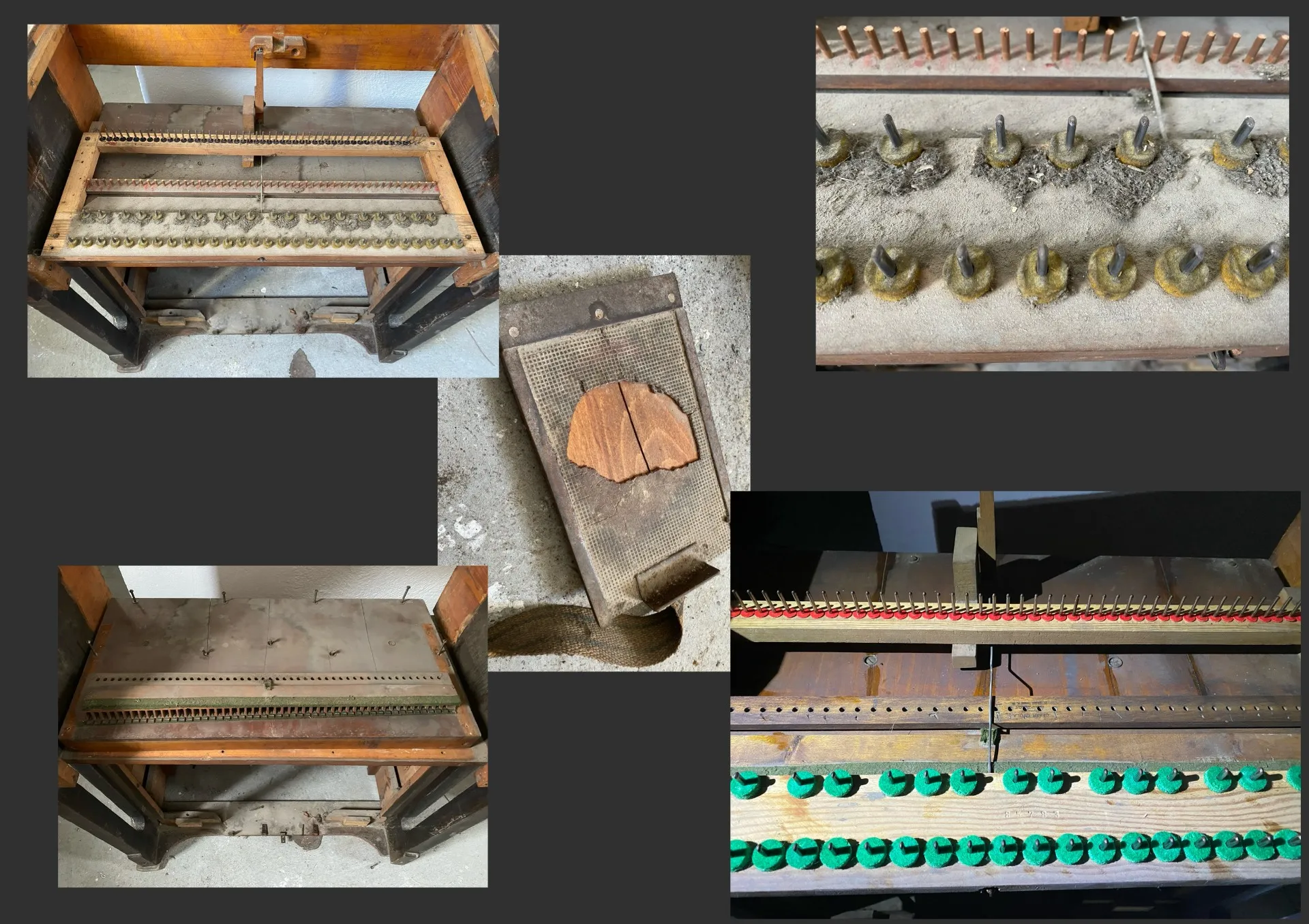 Harmonium von Gyula Césár – Bild 4