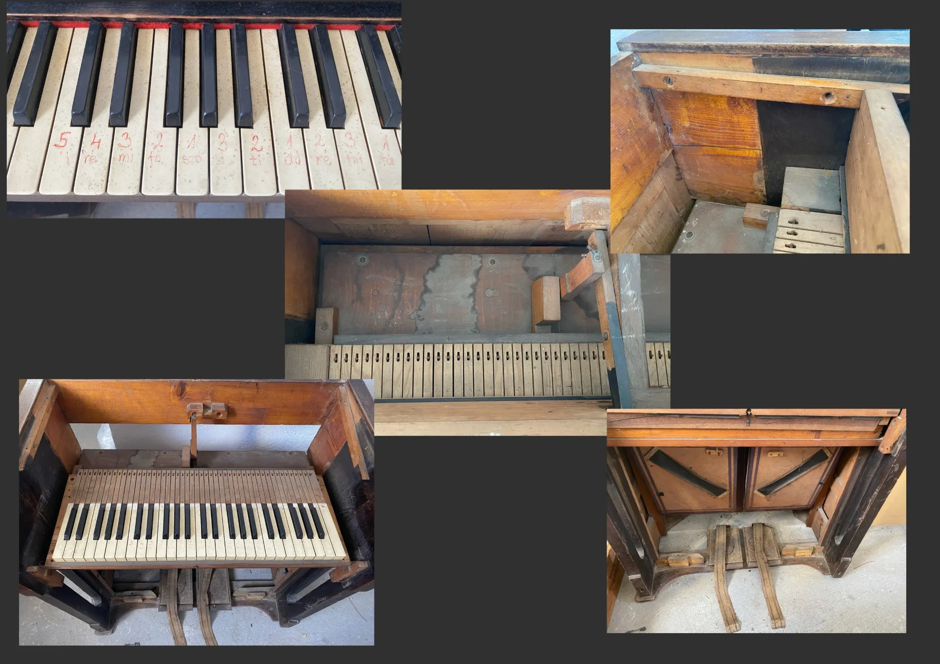 Harmonium von Gyula Césár – Bild 5